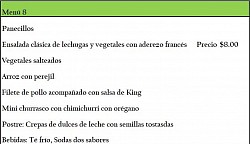 Menú 8.Filete de pollo acompañado con salsa de King  y Mini churrasco con chimichurri con orégano